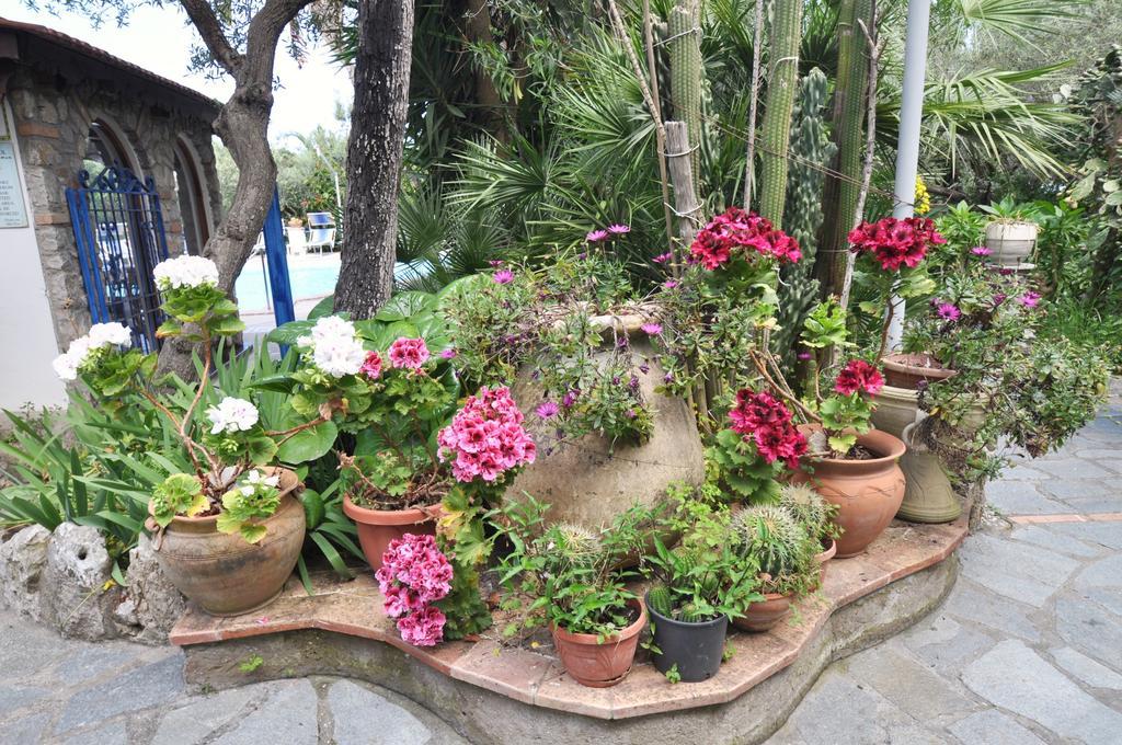 Eva Anacapri (Isola di Capri)