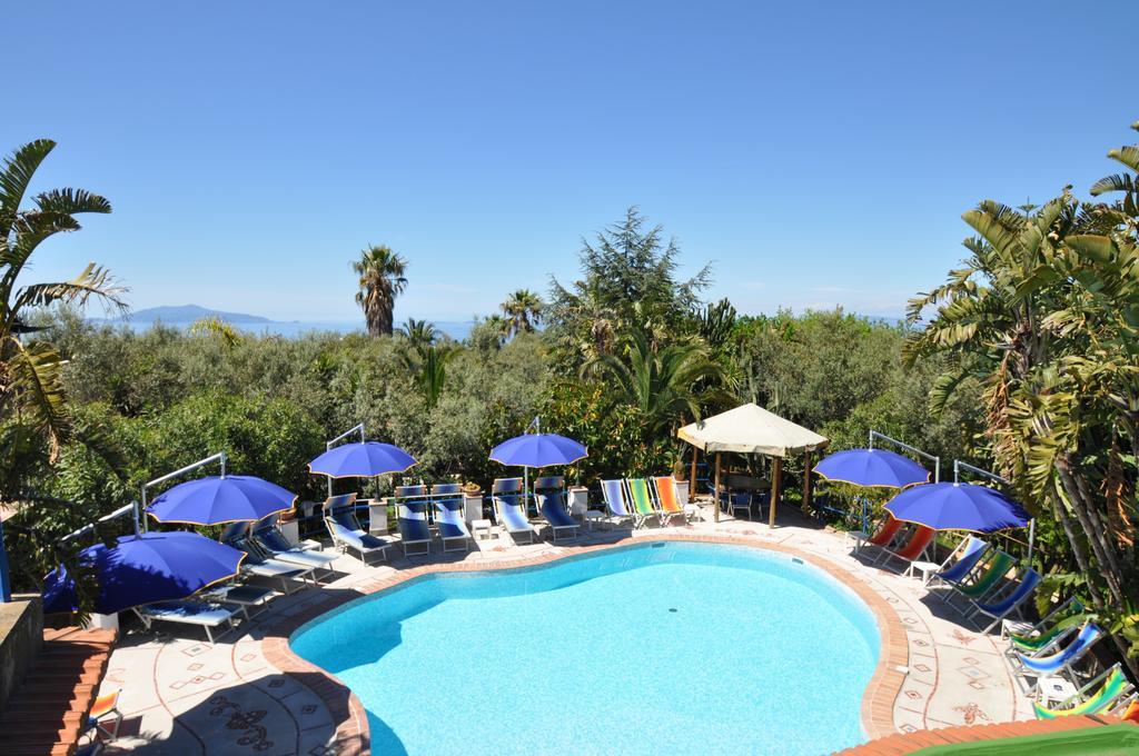 Hotel Eva 3*